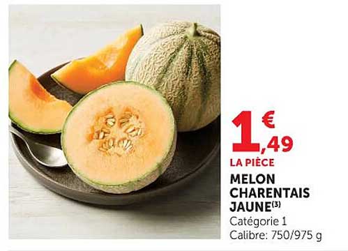 MELON CHARENTAIS JAUNE