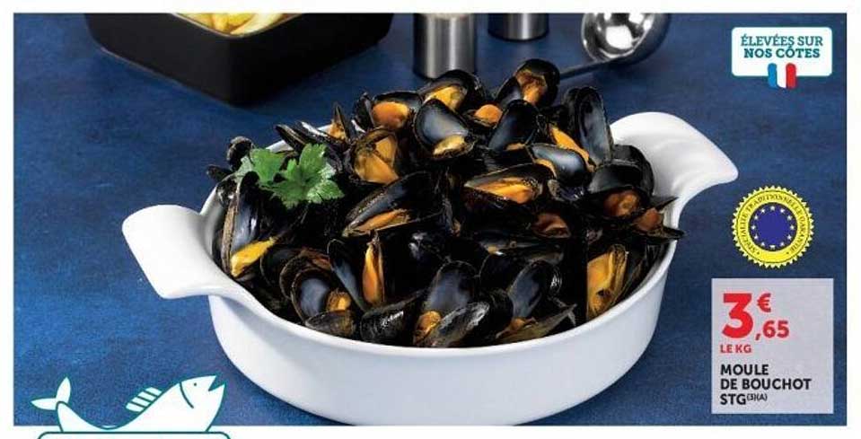 MOULE DE BOUCHOT STG