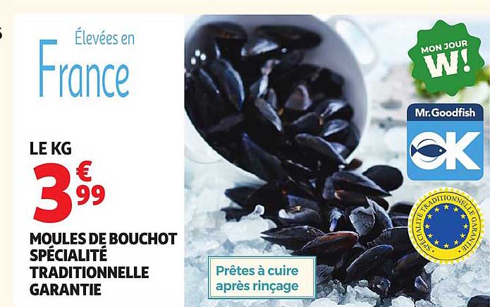 MOULES DE BOUCHOT