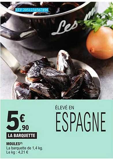 MOULES