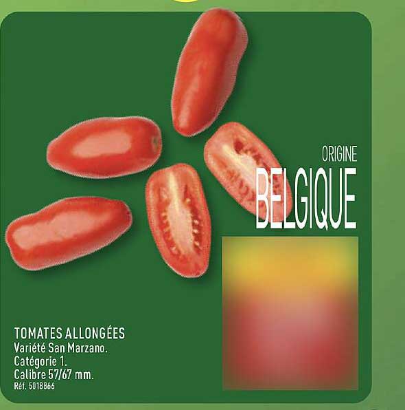 ORIGINE BELGIQUE