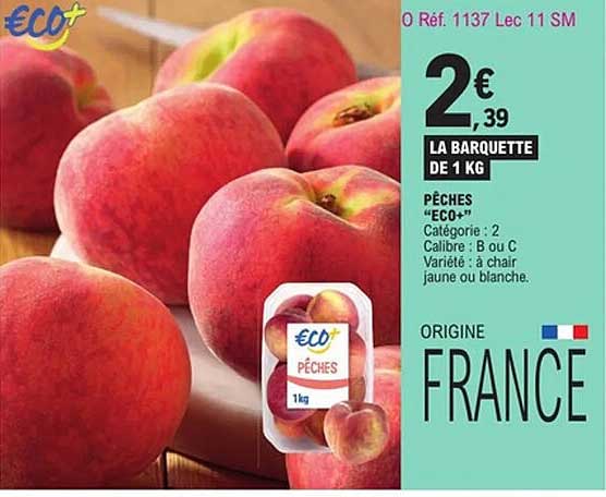 PECHES "ECO+