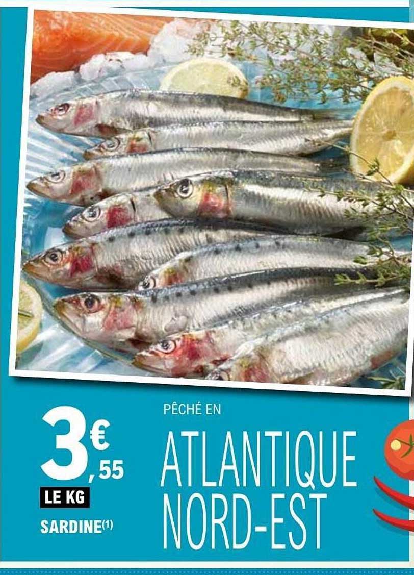 SARDINE