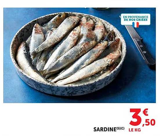 SARDINE