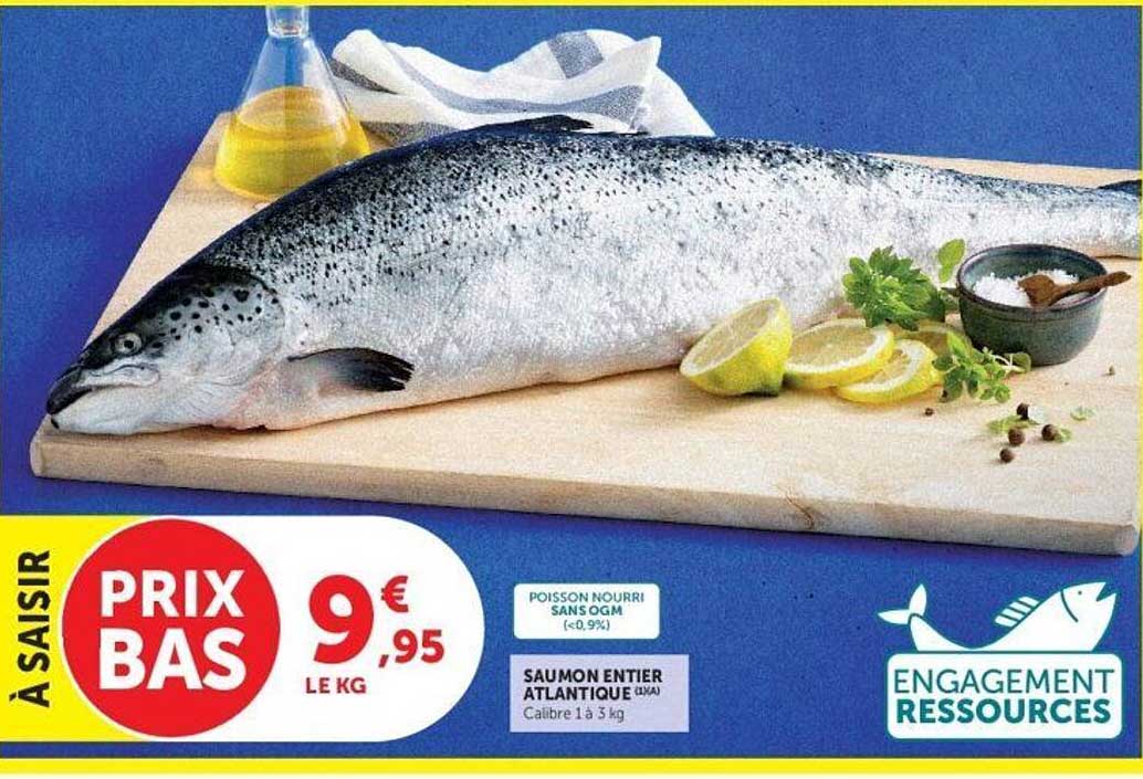 Saumon entier Atlantique