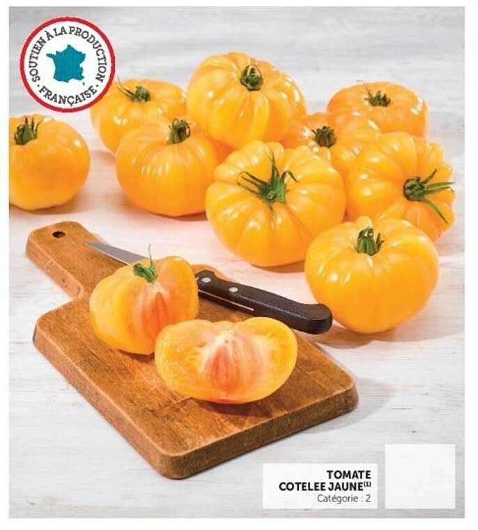 TOMATE COTELEE JAUNE