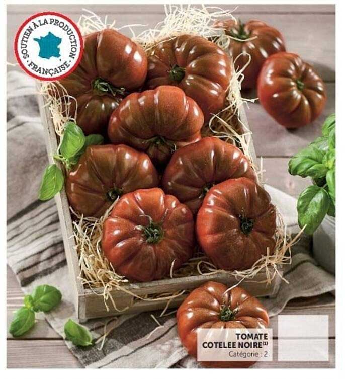 Tomate Cotelee Noire
