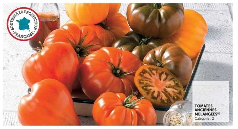 TOMATES ANCIENNES MÉLANGÉES