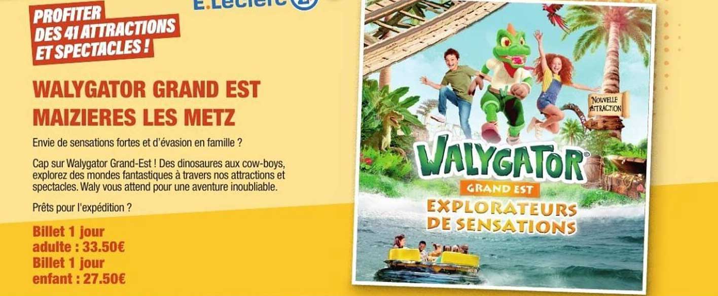 WALYGATOR GRAND EST