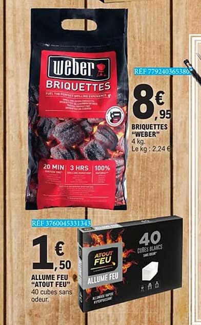 Weber Briquettes