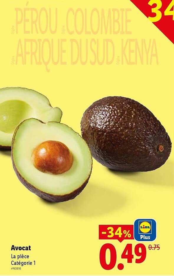 Avocat