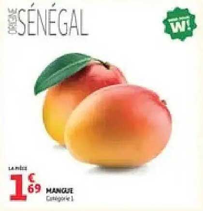 MANGUE origine 1