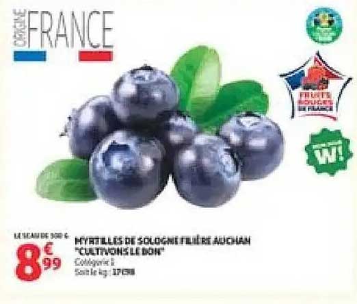 MYRTILLES DE SOLOGNE ET FILIERE AUCHAN