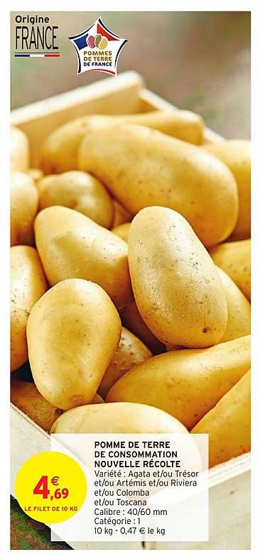 pomme de terre de consommation nouvelle recolte