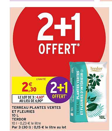terreau 10 litres plantes vertes et fleuries terdor 2+1 offert