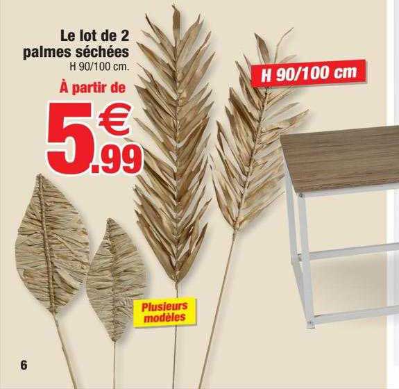 le lot de 2 palmes séchées