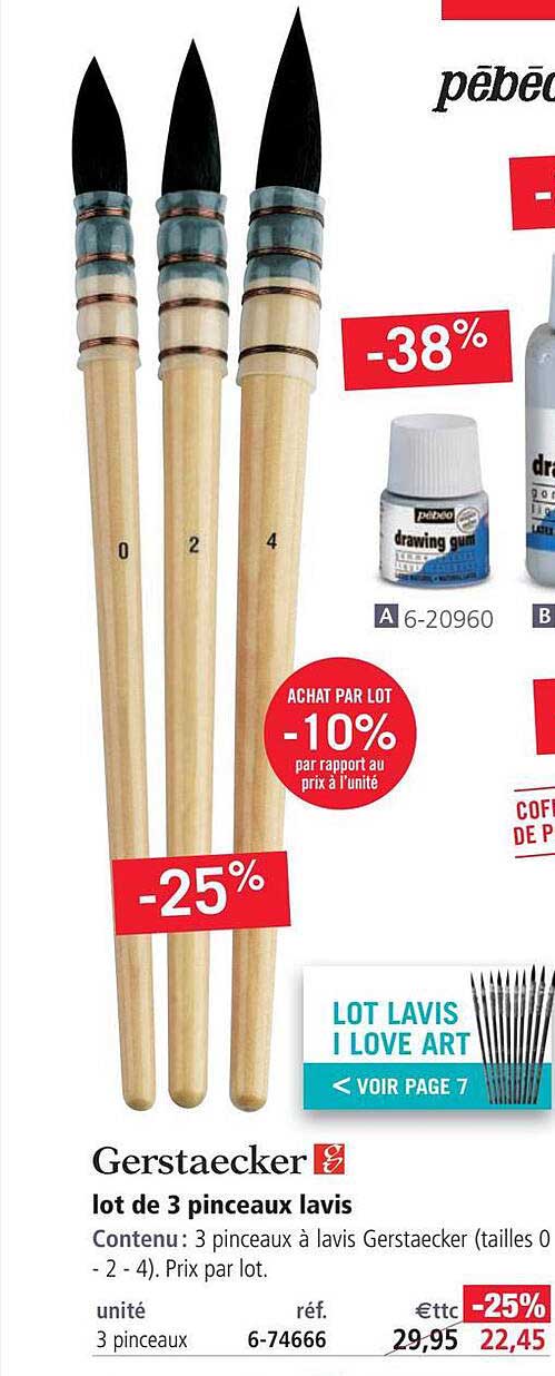 Lot De 3 Pinceaux Lavis