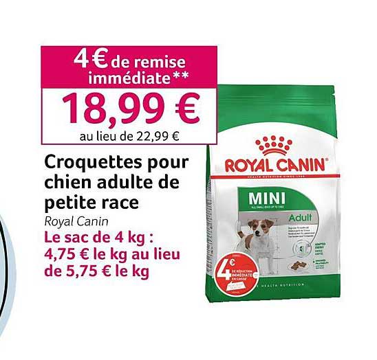 croquettes pour chie adulte de petite race royal canin