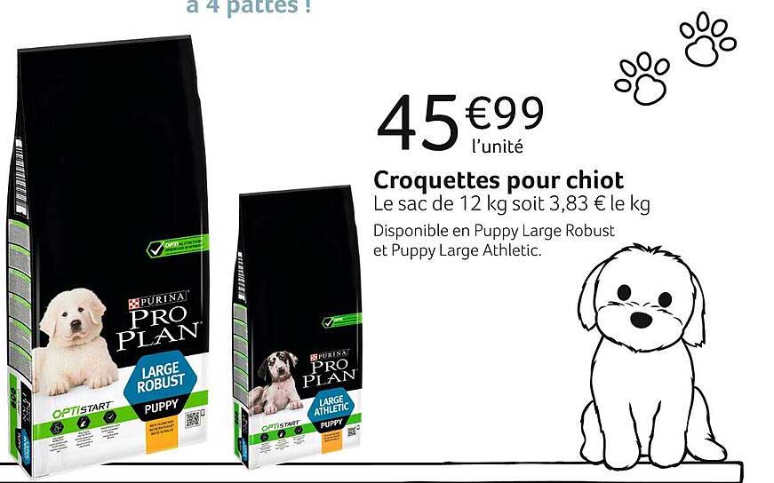 croquettes pour chiot