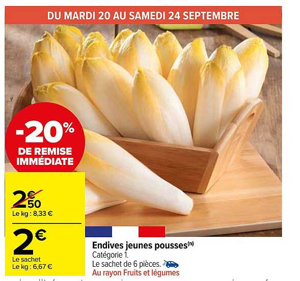 endives jeunes pousses