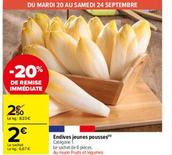 endives jeunes pousses