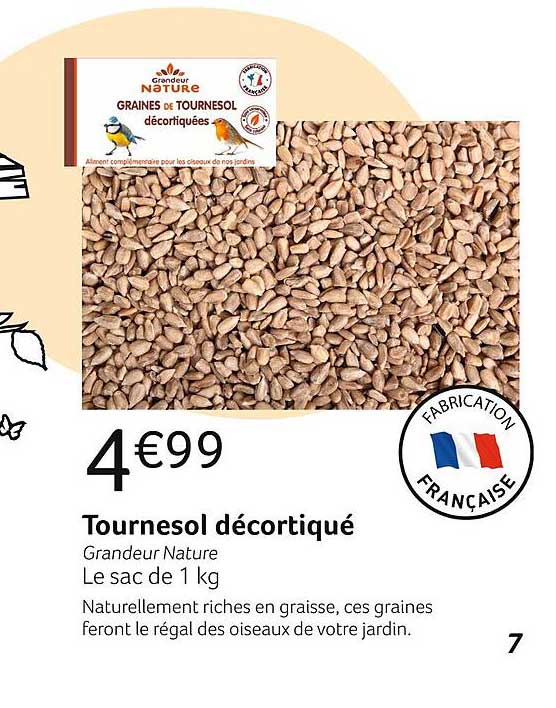 tournesol décortiqué grandeur nature
