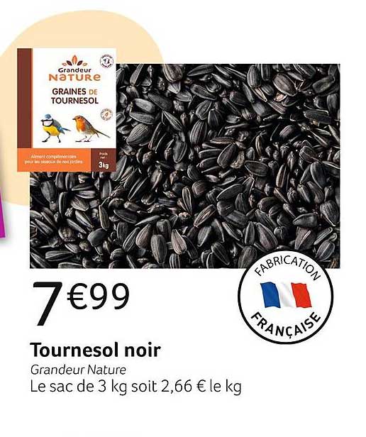 tournesol noir grandeur nature