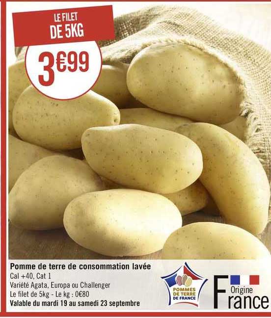 Pomme De Terre De Consommation Lavée