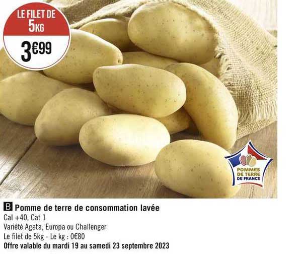 Pomme De Terre De Consommation Lavée