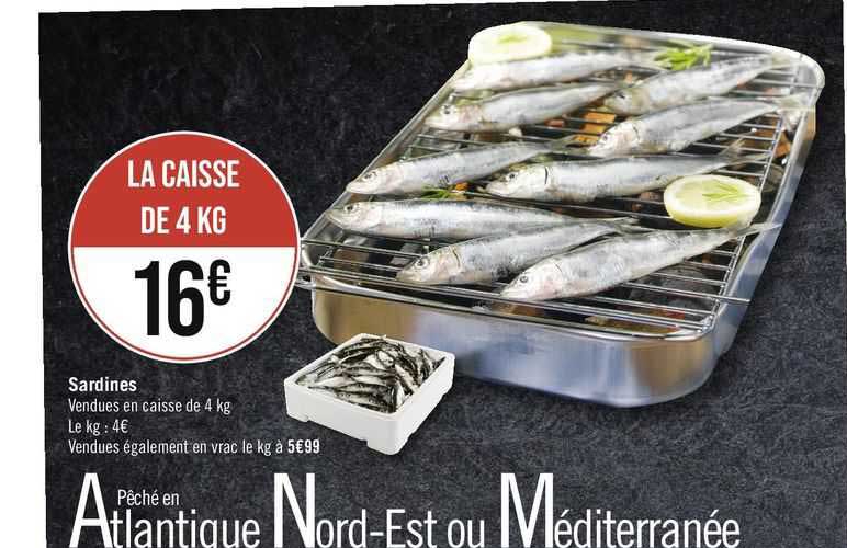 Sardines