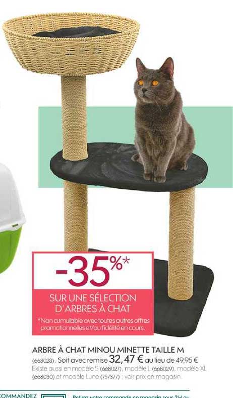 arbre à chat minou minette taille m