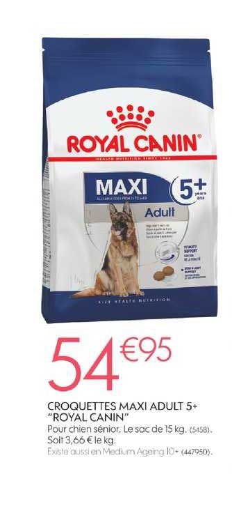 croquettes maxi adult 5+ royal canin