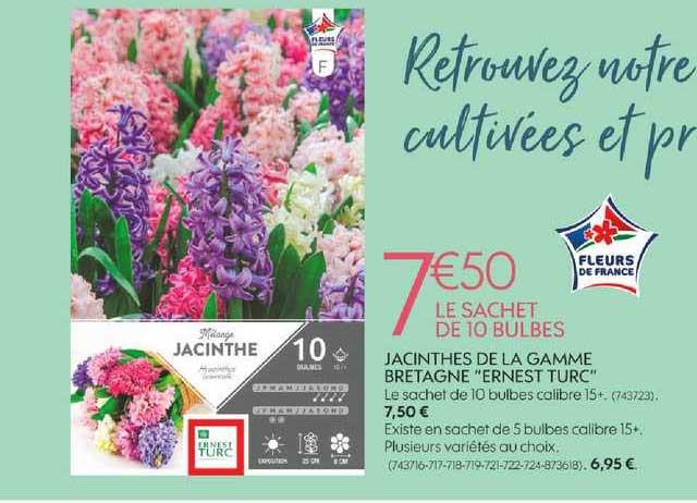 jacinthes de la gamme bretagne ernest turc