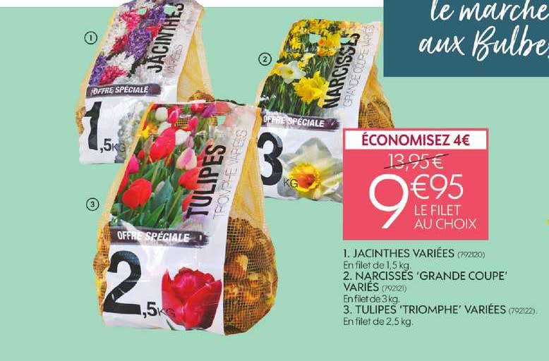 jacinthes variées narcisses grande coupe variés tulipes triomphe variées