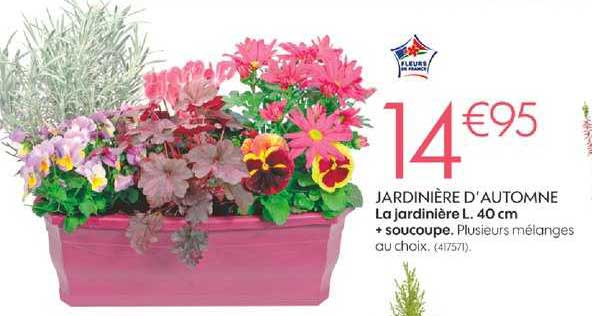 jardinière d'automne la jardinière l. 40 cm + soucoupe