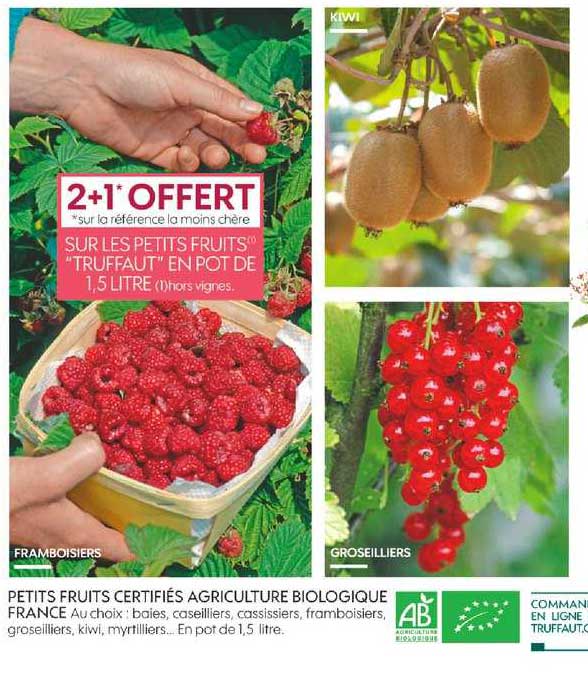 petits fruits certifiés agriculture biologique 2+1 offert