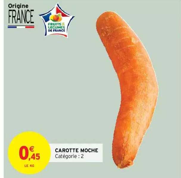 carrotte moche