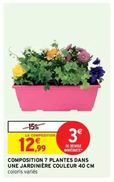 composition 7 plantes dans une jardinière couleur 40 cm