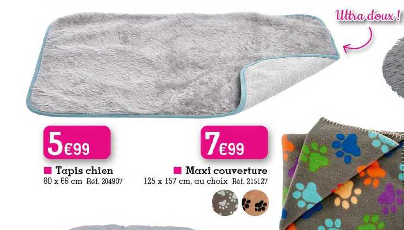 Tapis Chien Maxi Couverture