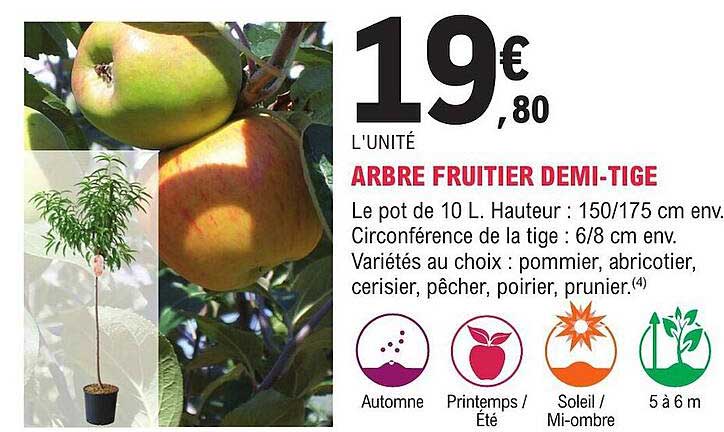 arbre fruitier demi-tige