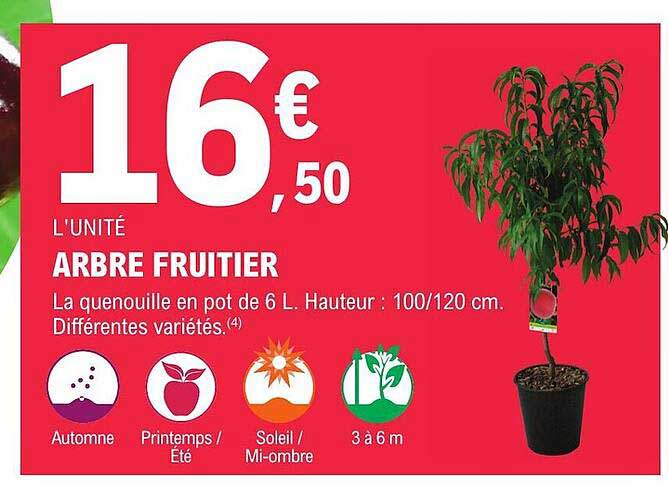 Arbre Fruitier