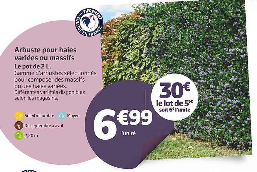 arbuste pour haies variées ou massifs