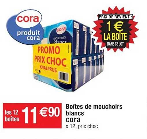 Boîtes De Mouchoirs Blancs Cora