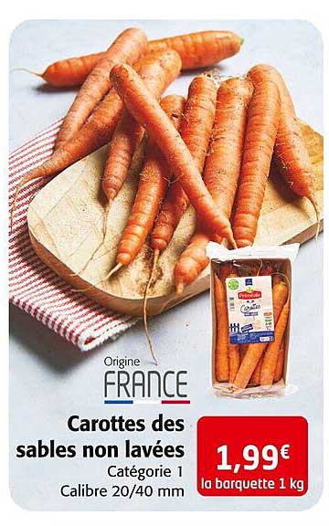 carottes des sables non lavées