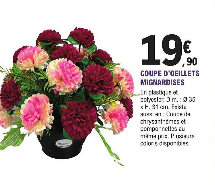 Coupe D’œillets Mignardises