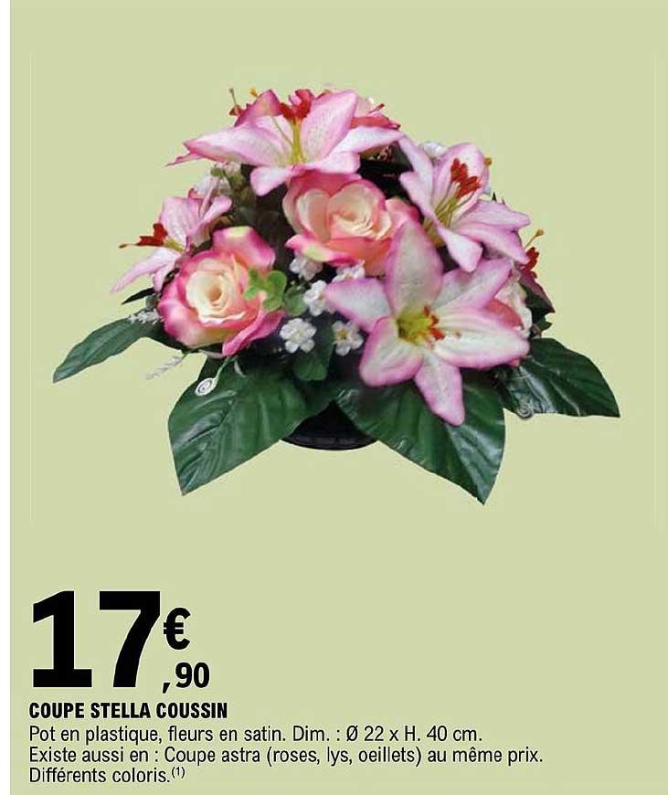 Coupe Stella Coussin