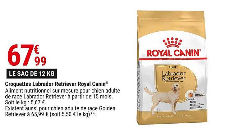 croquettes labrador retriever royal canin