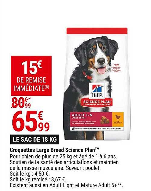 croquettes large breed science plan tm