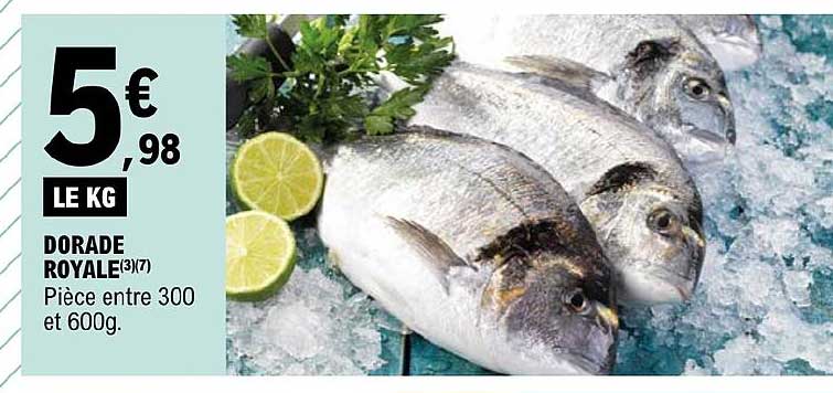 Dorade Royale