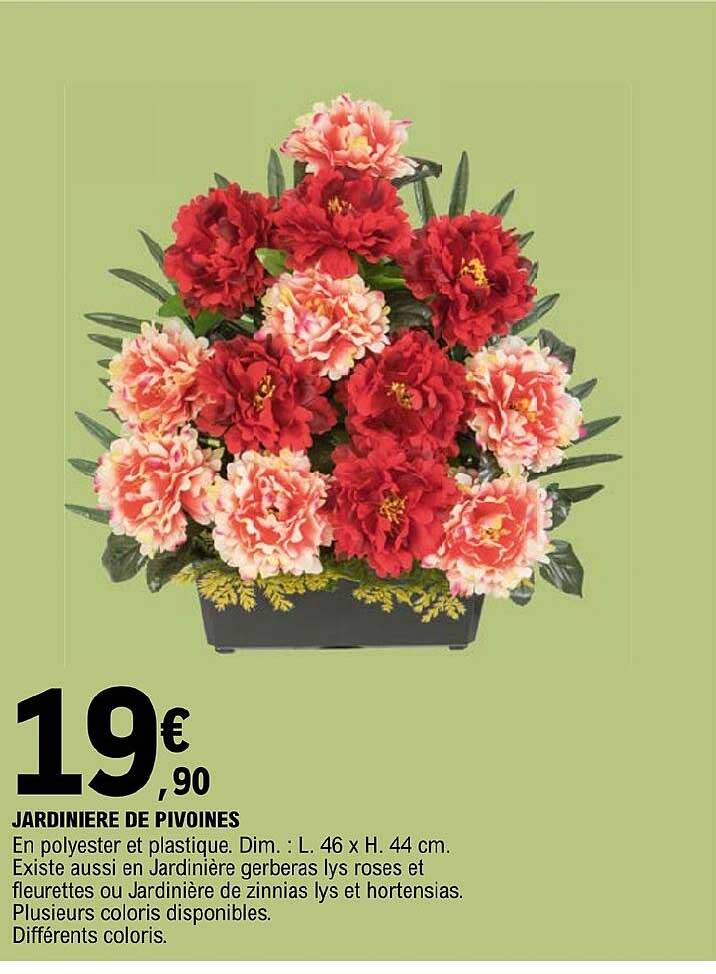 Jardinière De Pivoines